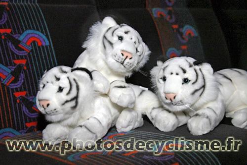 Boucles Guegonnaises 2008 031